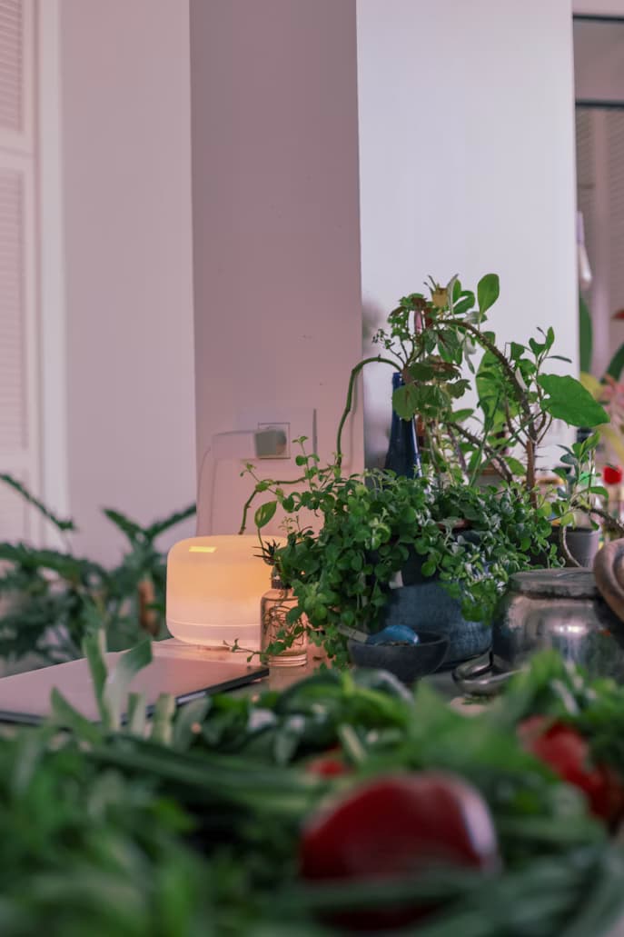 Air Purifiers That Actually Work: 2026 Testing Results